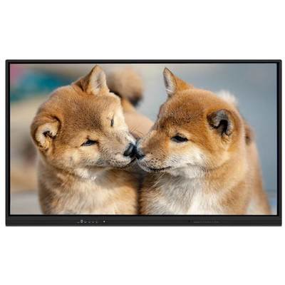 75 pouces Interactive Smart Board avec Android 15 et WiFi 6 pour les écoles et les bureaux