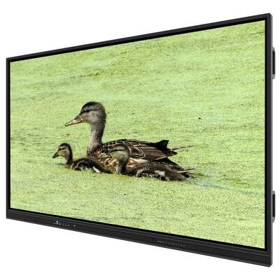 75 pouces tout en un tableau blanc interactif