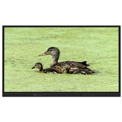 Tableau blanc interactif tout-en-un de 65 pouces avec stockage 8+128 Go et tactile infrarouge pour l'enseignement et les réunions