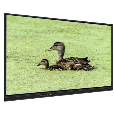 Tableau blanc interactif tout-en-un de 65 pouces avec stockage 8+128 Go et tactile infrarouge pour l'enseignement et les réunions