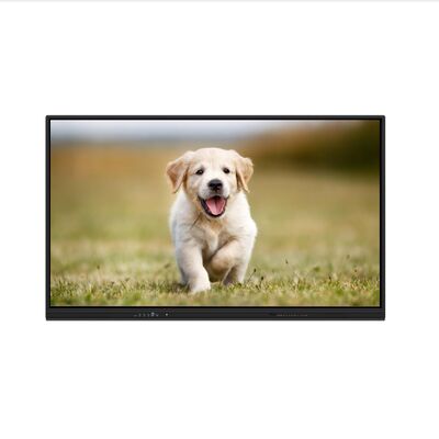 iBoard Tableau blanc interactif Android 16 certifié EDLA Écran plat interactif