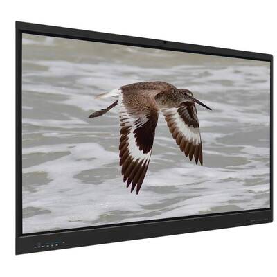 Tableau blanc interactif Iboard Android 15 EDLA avec écran 65 pouces pour l'apprentissage en ligne