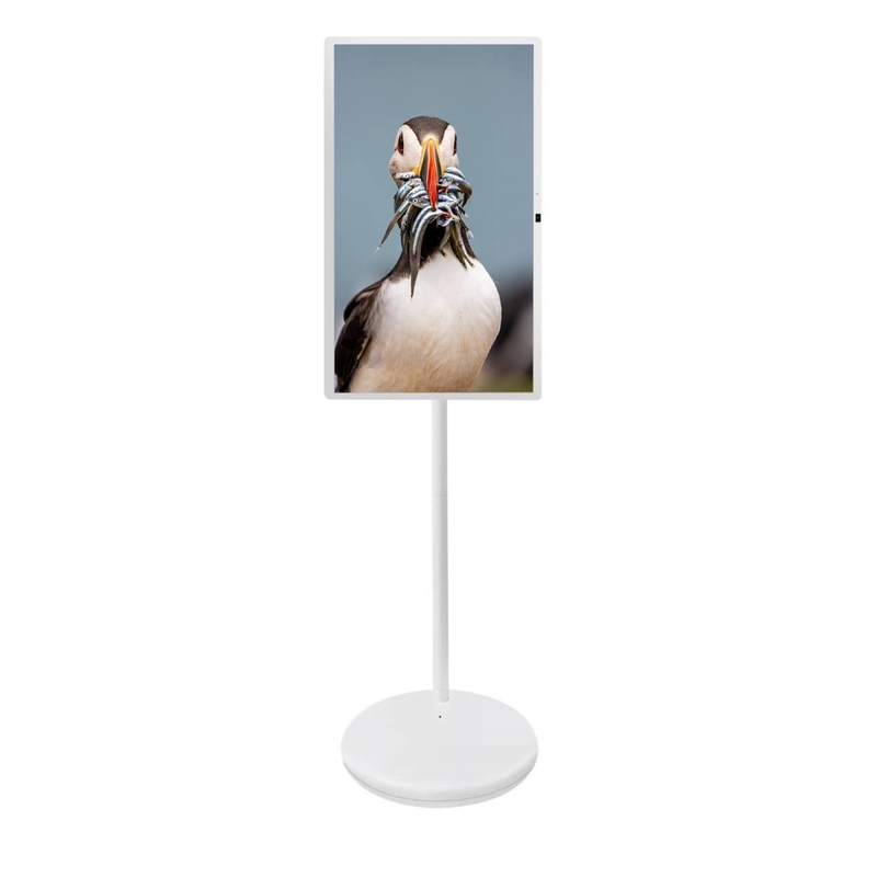 27 32 pouces Android 13 14 8+128G Ram And Rom avec caméra 1300W 2x5W Mobile Stand Pour la télévision à domicile Tableau de réunion Moniteur de menu