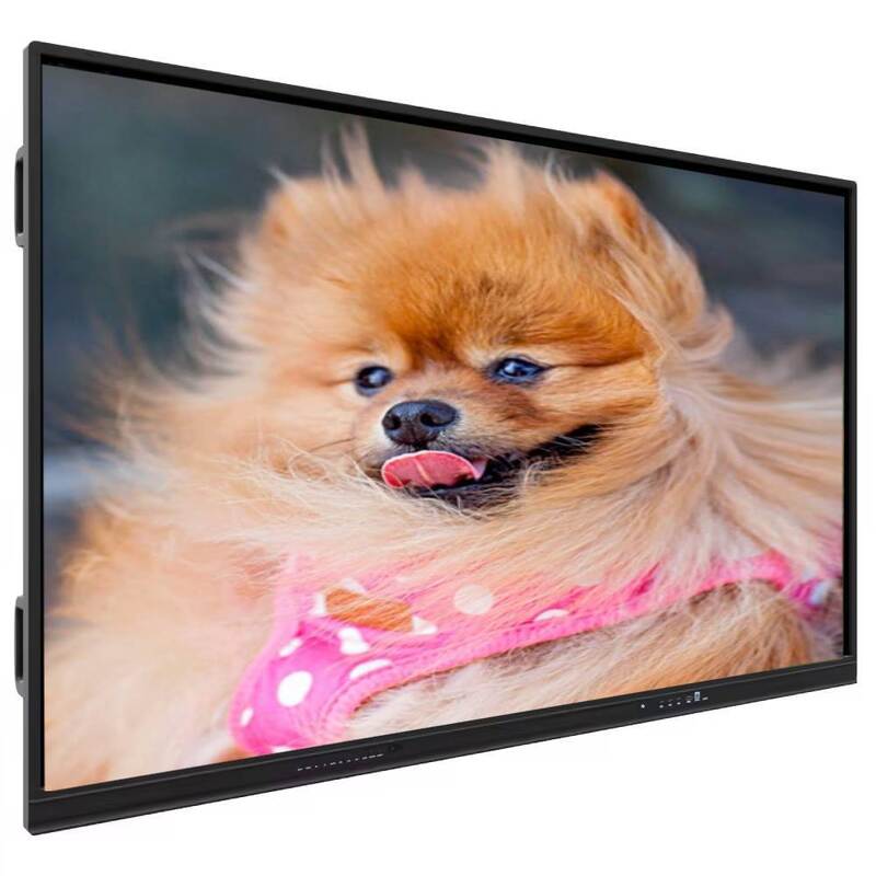 Panneau plat interactif à écran tactile IBoard avec ordinateur OPS Windows en option, profondeur de couleur 1,07 G (8 bits + FRC) et luminosité de 350 Cd/m² pour les salles de réunion modernes